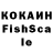 Псилоцибиновые грибы Psilocybine cubensis KiFeer