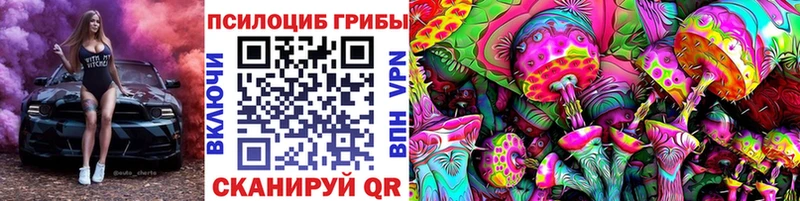 blacksprut ссылка Стрежевой Псилоцибиновые грибы Cubensis